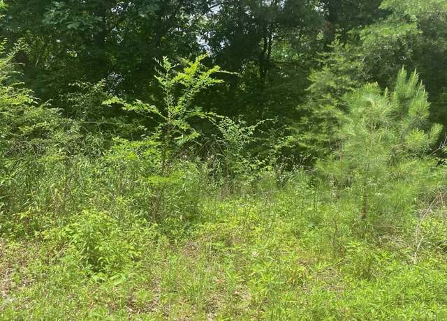 Property at 0 Jean Ridge Ln #5, Odenville, AL 35120