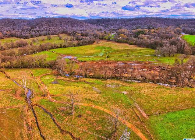 Property at 0 Hinds Rd #0, Blountsville, AL 35031