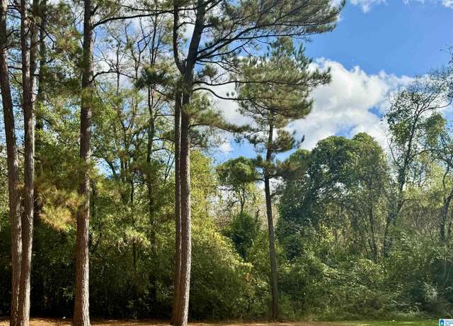 Property at 0 College St #0, Talladega, AL 35160