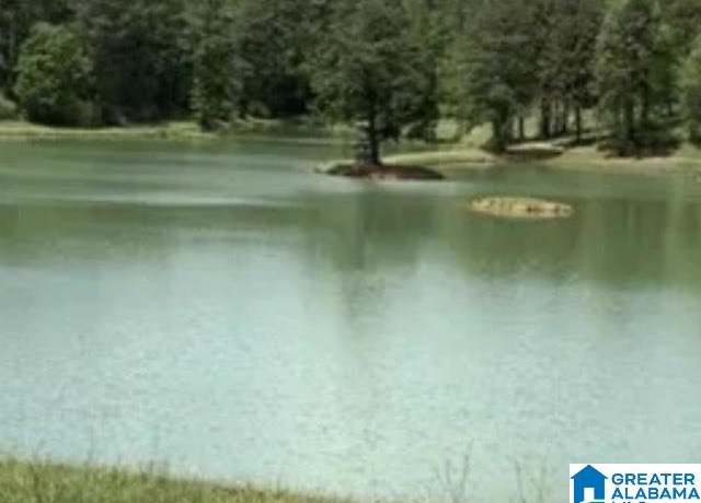 Property at 405 Gray Fox Rd #21, Springville, AL 35146
