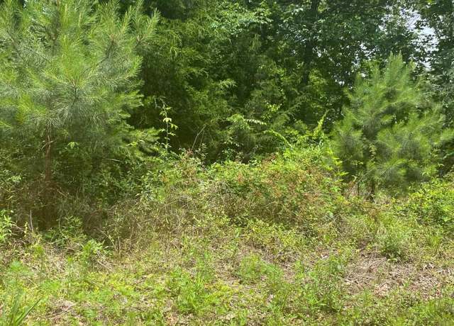 Property at 0 Walnut Cv #16, Odenville, AL 35120