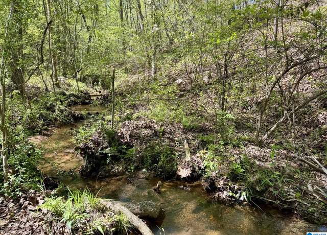 Property at Tract 7 County Road 268 #7, Roanoke, AL 36274