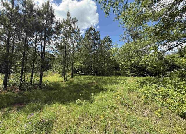 Property at 12345 County Road 24, Verbena, AL 36091, 3 beds, 2 baths