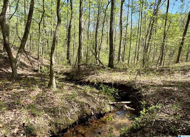 Property at Tract 8 County Road 268 #8, Roanoke, AL 36274