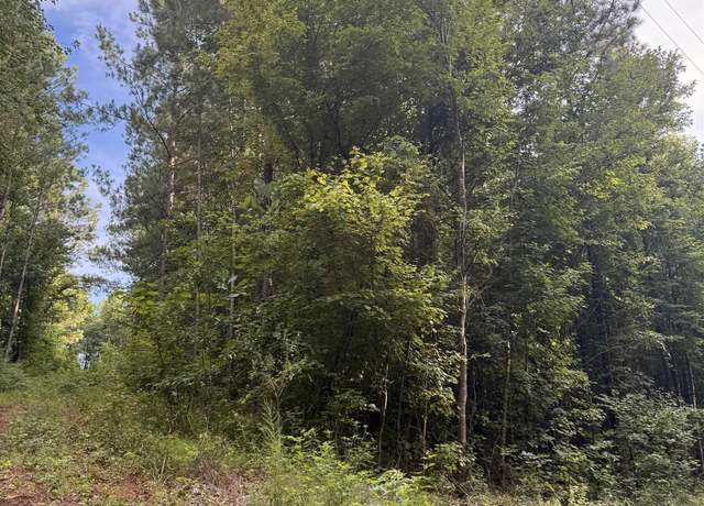Property at 0 County Road 228 #1, Maplesville, AL 36750