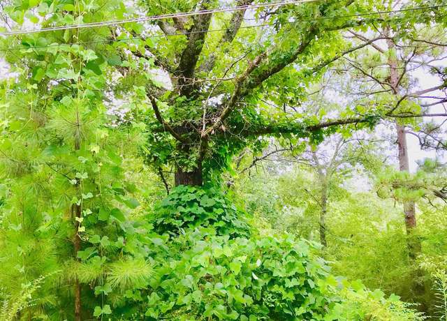 Property at 14548 Highway 280 Lot 1 and Lot 2, Chelsea, AL 35043