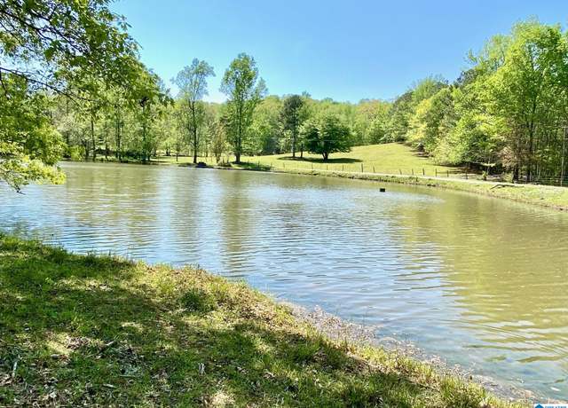 Property at 109 County Road 801, Delta, AL 36258, 4 beds, 2 baths