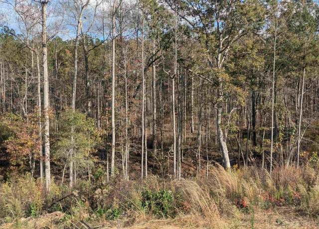Property at 7016 County Road 65 #0, Fruithurst, AL 36262