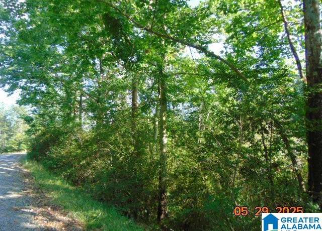 Property at Lot 1 County Road 182 #1, Clanton, AL 35045