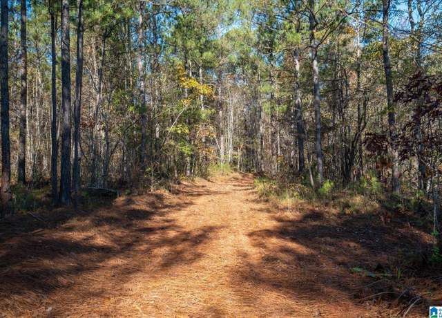 Property at 0 County Road 632 Unit 105.96 acres, Roanoke, AL 36274