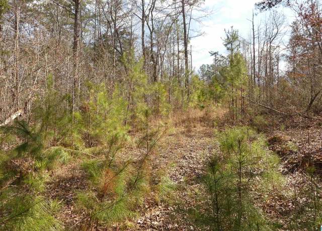 Property at 6.02 acres County Road 329 #00, Wedowee, AL 36278