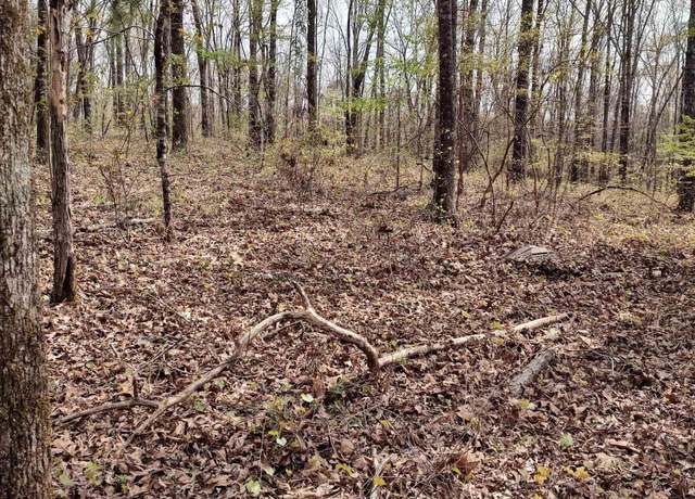 Property at 0 Billingsley Dr #0, Childersburg, AL 35044
