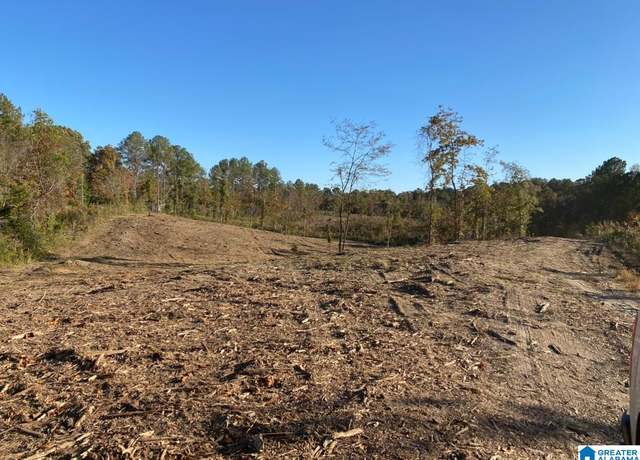 Property at 2011 Mccay Dr Lot 4, Morris, AL 35116