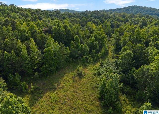Property at Lot #1 Highway 75 #1, Oneonta, AL 35121