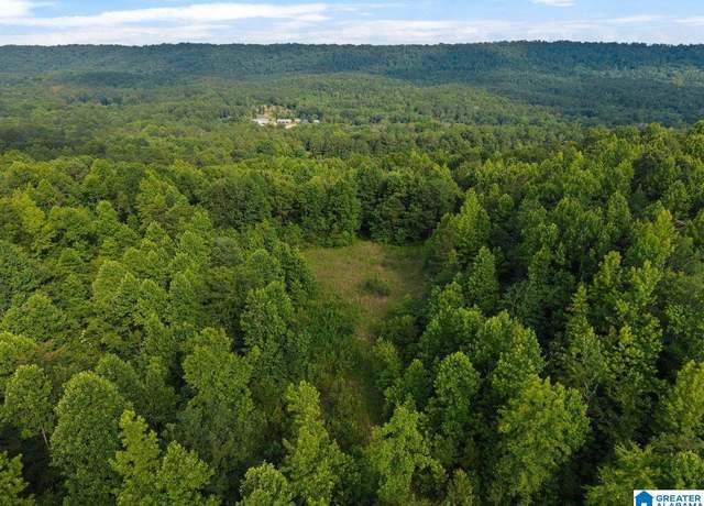 Property at Lot #2 Highway 75 #1, Oneonta, AL 35121