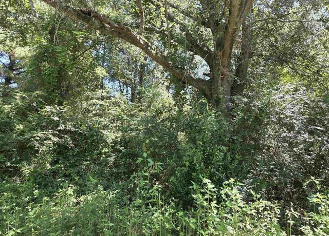 Property at 00 Leonard Ln #0, Sylacauga, AL 35150