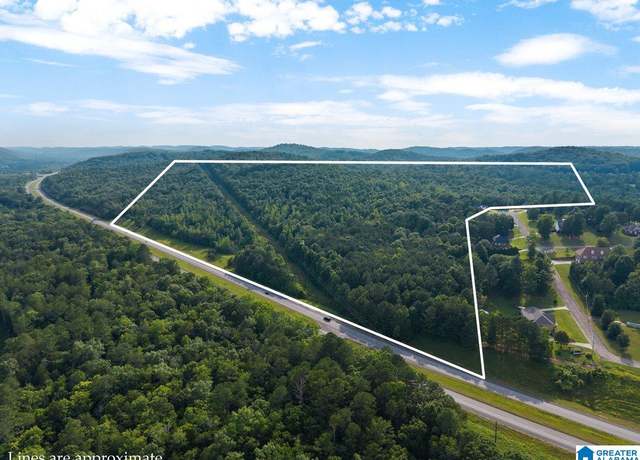 Property at Lot #6 Highway 75 #1, Oneonta, AL 35121
