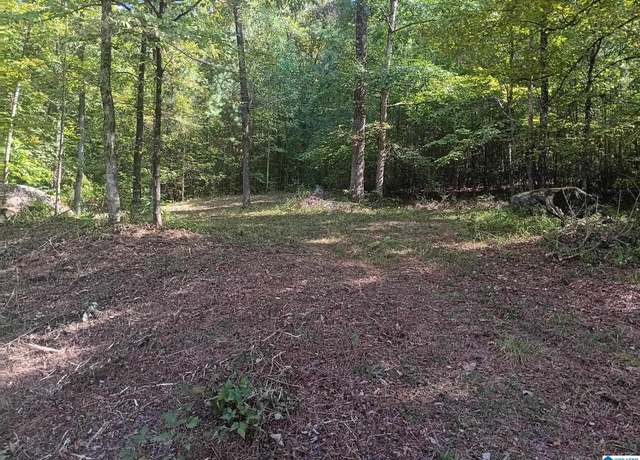 Property at 0 Valley Cir #579, Warrior, AL 35180