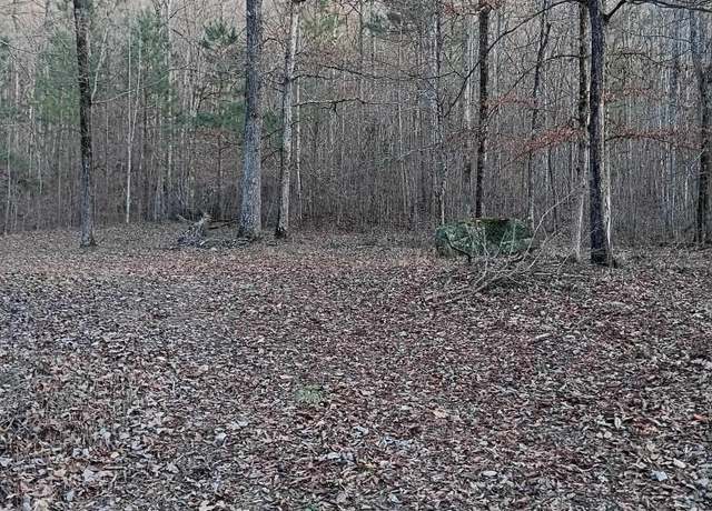 Property at 0 Valley Cir #580, Warrior, AL 35180