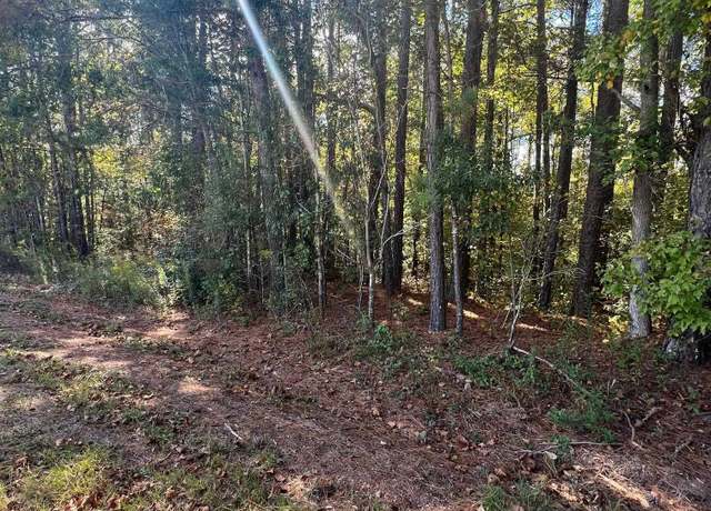Property at 1 acre County Road 19 #1, Woodland, AL 36280