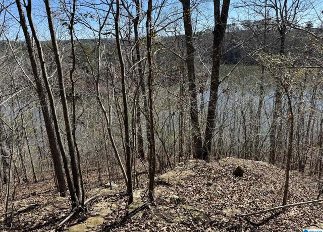 Property at W Lakeshore Dr #4, Oneonta, AL 35121