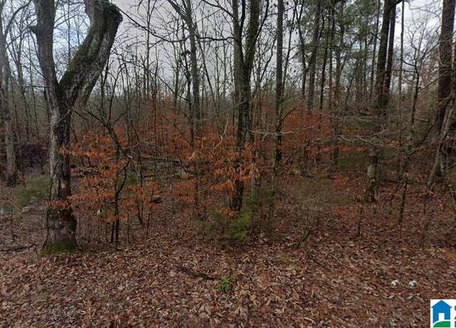 Property at 0 Low Gap Rd #0, New Hope, AL 35760