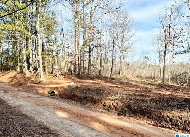 Property at 0 County Road 700 Unit B, Roanoke, AL 36274