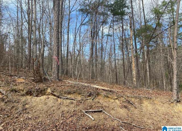 Property at Raccoon Branch Rd #12, Jasper, AL 35504