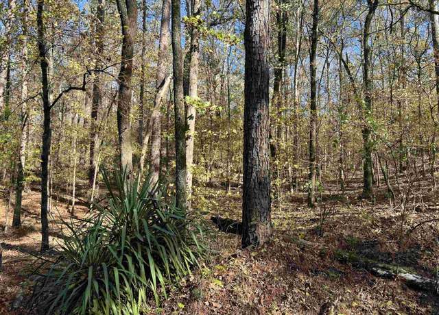 Property at 299 Mountain Lake Rd #1, Hayden, AL 35079