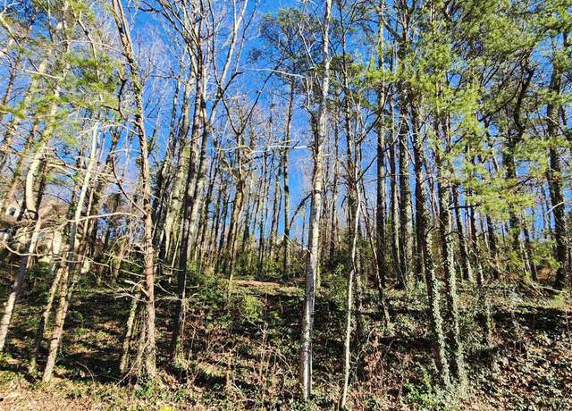 Property at 4437 Vicksburg Dr #12, Birmingham, AL 35210