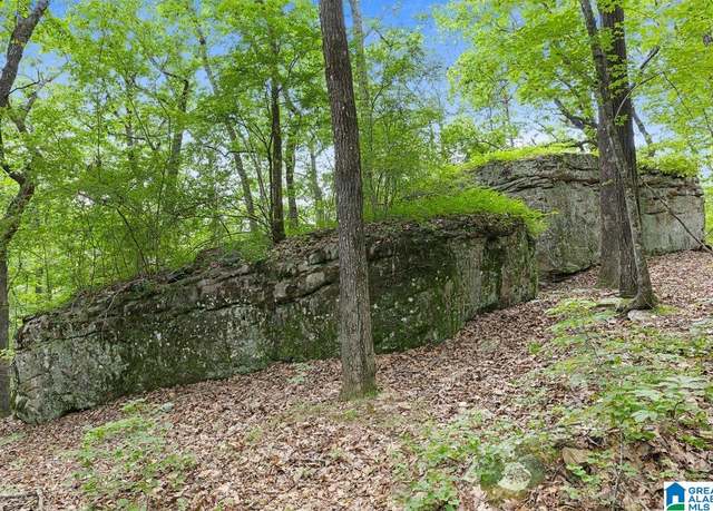Property at 00 Highway 9 #1, Hayden, AL 35079