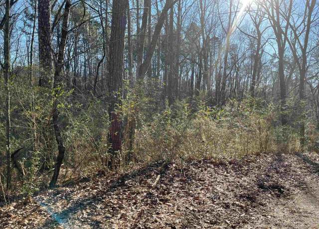 Property at 6123 Alexandria Jacksonville Hwy Unit none, Jacksonville, AL 36265