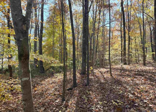 Property at 0 Cauthen Cir Lot 12, Roanoke, AL 36274