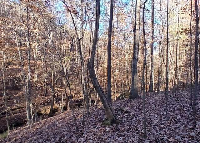 Property at 0 Blackjack Rd #0, Trussville, AL 35173
