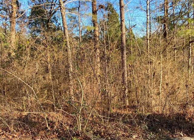 Property at 0 Woodland Hills Dr Unit 2 and 3, Springville, AL 35146