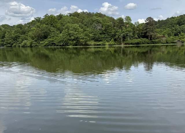 Property at lot 4 Lakeshore Cir #4, Warrior, AL 35180