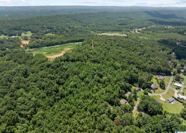 Property at 0 Sunshine Ave Unit N/A, Oneonta, AL 35121