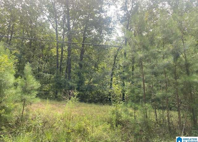 Property at Lot 3 N Walston Bridge Rd #3, Jasper, AL 35504