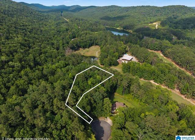 Property at 0 Bellerive Cir #1, Oneonta, AL 35121