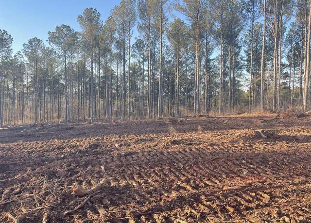 Property at 5.38 +/- Acres Peace Of Mind Dr Unit 5.38 Acres, Lineville, AL 36266
