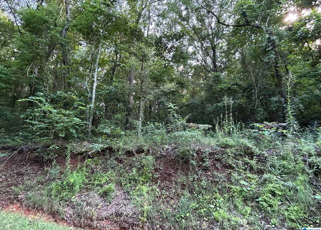 Property at 0 County Road 31 #14, Alexandria, AL 36250