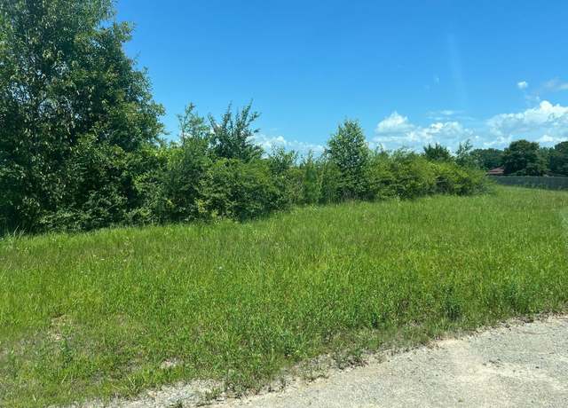 Property at Plum Creek Dr Unit none, Vincent, AL 35178
