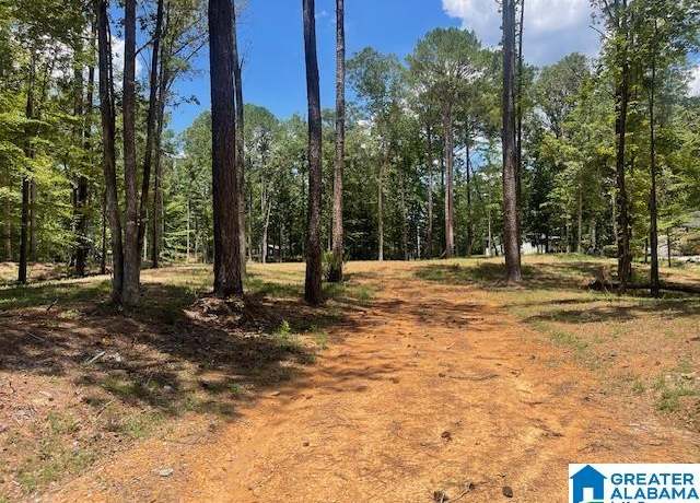 Property at 63 Hodgens Rd #3, Chelsea, AL 35043