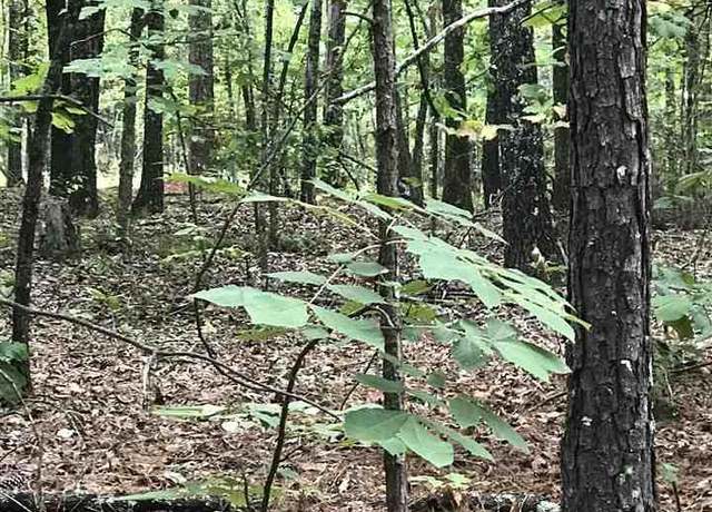 Property at Lakeside Ln #23, Alpine, AL 35014