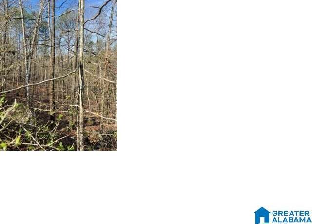 Property at Highway 191 #16, Alpine, AL 35014