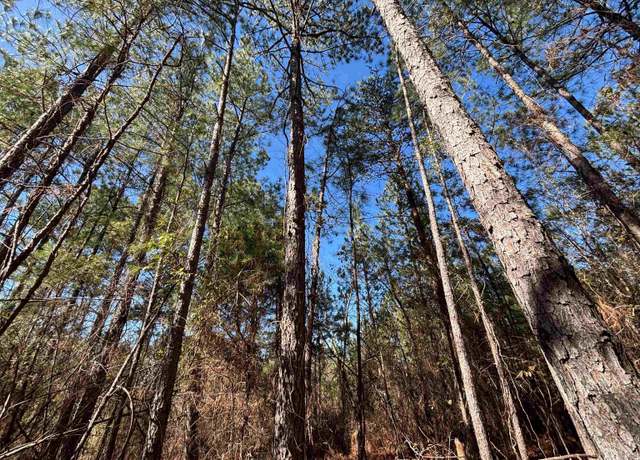 Property at 7380 Narrows Rd Unit 148+/- Acres, Pinson, AL 35126
