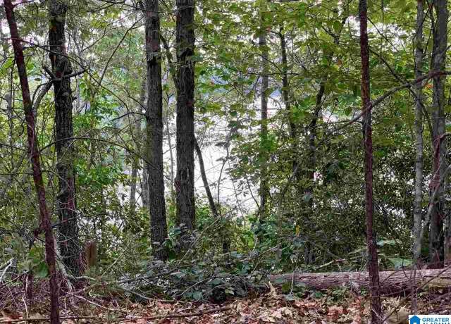 Property at 1001 Old Patton Ferry Rd #0, Adger, AL 35006