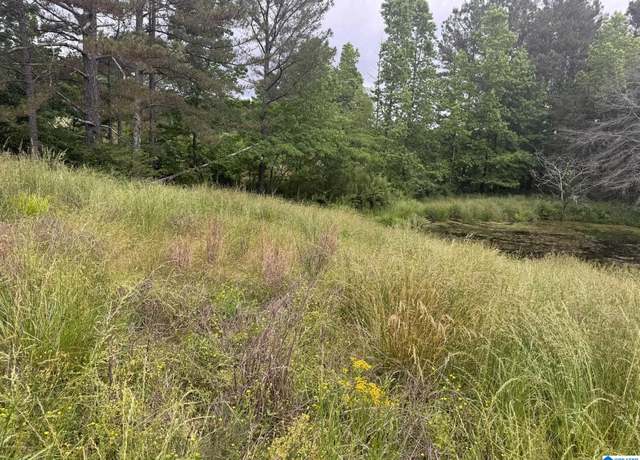 Property at 0 Busby Cut Off Rd #0, Nauvoo, AL 35578