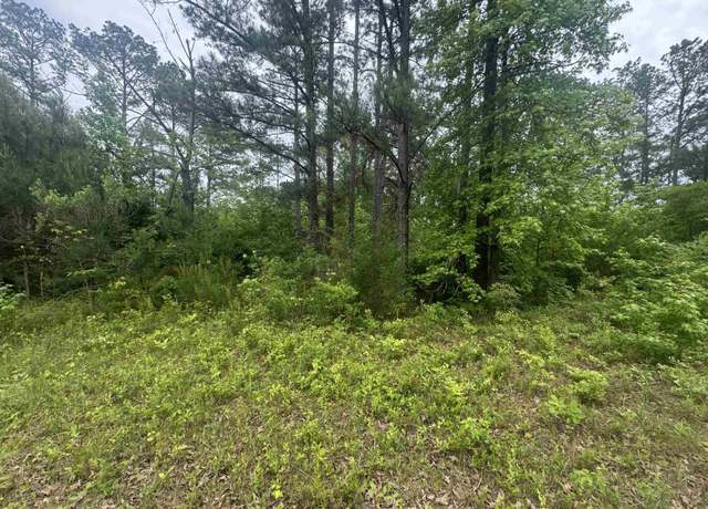Property at 0 County Road 42 #0, Jemison, AL 35085