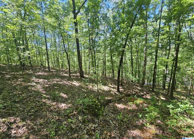 Property at 0 Hollys Ln #0, Riverside, AL 35135